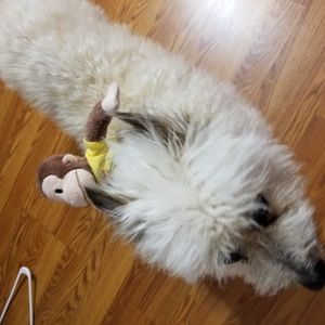 Meet your Posher, Matthew